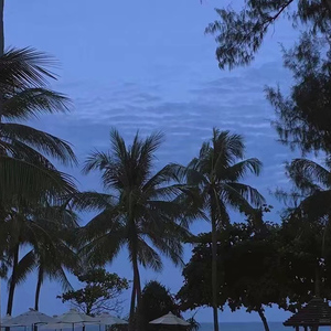 三上悠亚相泽南新有菜
