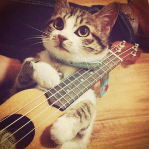 三上悠亚相泽南新有菜
